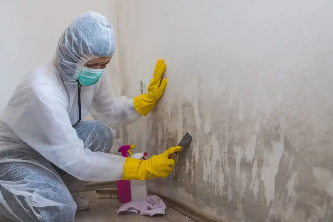 water damage restoration service Otter Creek